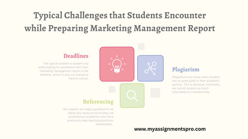 marketing management report example.jpg