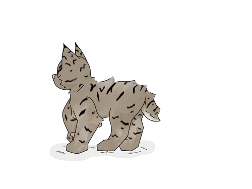 IMG 1107.png