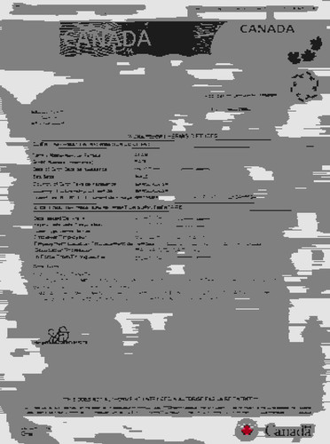 BADIUL ALAM WORK PERMIT (1).jpg