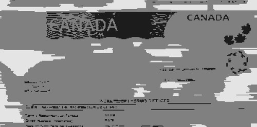 BADIUL ALAM WORK PERMIT (1).jpg