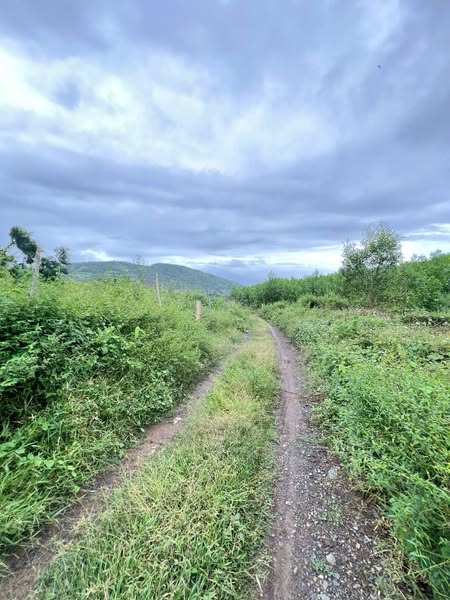 470169460 122127989540556963 765111678203843981 n.jpg