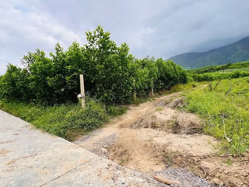 470596222 122127989654556963 5437570085591190937 n.jpg