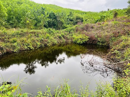 470213095 122127989612556963 6367075484103706953 n.jpg