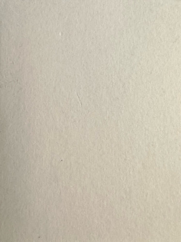 96.jpg