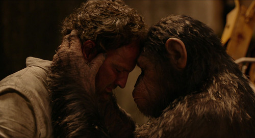 dawnplanetapes movie screencaps.com 14053