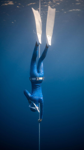 asian773Freediver