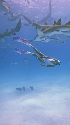 asian773mermaid.psyche