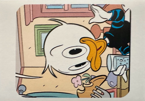 159.jpg