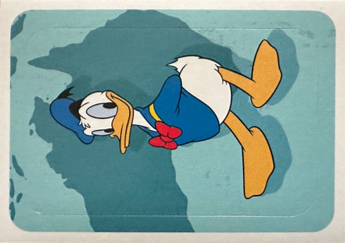 221.jpg