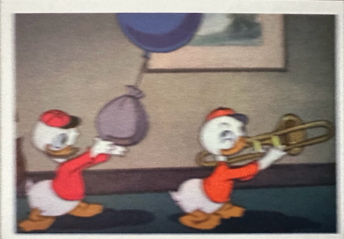 223.jpg