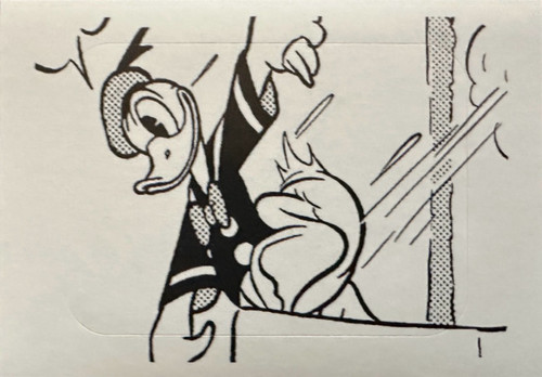 244.jpg