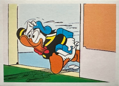 255.jpg