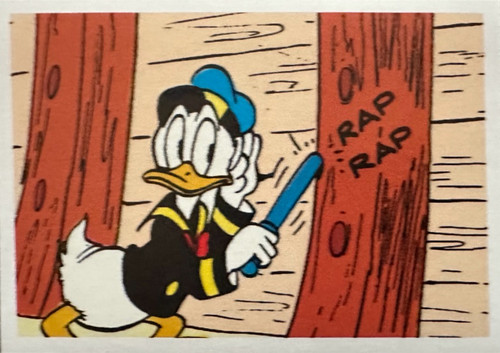 245.jpg