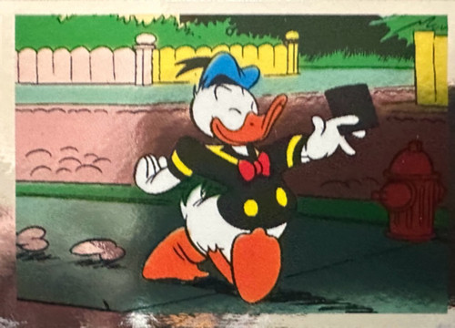 256.jpg