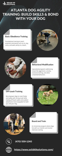 Atlanta Dog Agility Training Build Skills & Bond with Your Dog.jpg