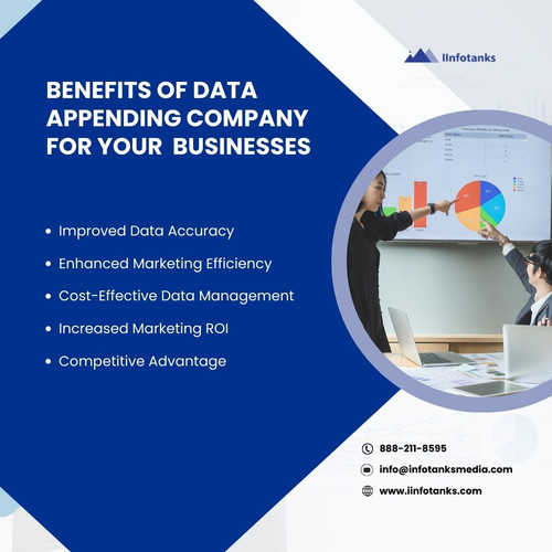 Benefits of Data Appending Company for your  Businesses.jpg