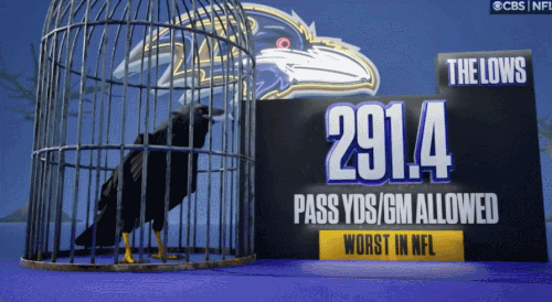 GIF 11 3 2024 1 12 53 PM.gif