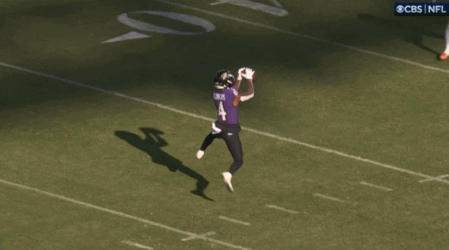 GIF 11 3 2024 1 25 39 PM.gif