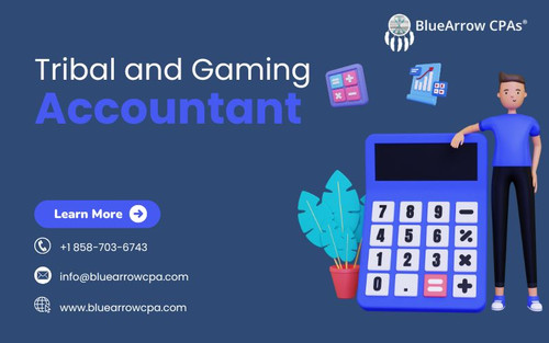 Tribal and Gaming Accountant.jpg