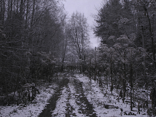IMG 0025 1.jpg