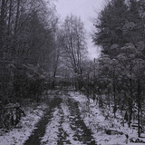 IMG 0025 1