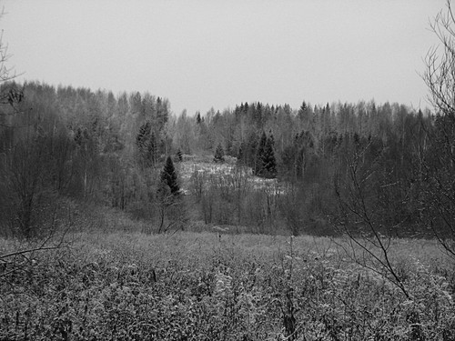 IMG 0014 1.jpg