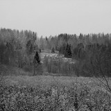 IMG 0014 1