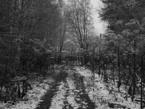 IMG 0022 1.jpg