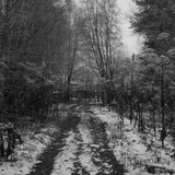 IMG 0022 1