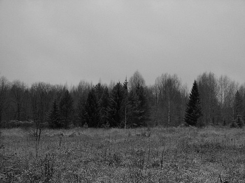 IMG 0019 1v.jpg