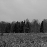 IMG 0019 1v