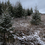 IMG 0007 1