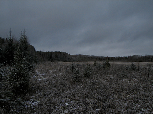 IMG 0010 1.jpg