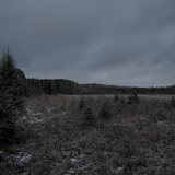 IMG 0010 1
