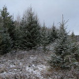 IMG 0009 1