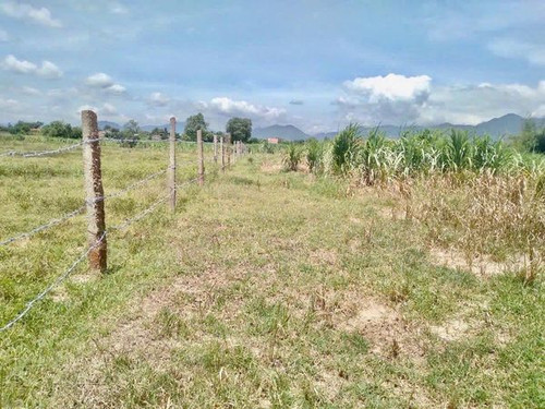 465181552 1252068842781888 4068504462277401455 n.jpg