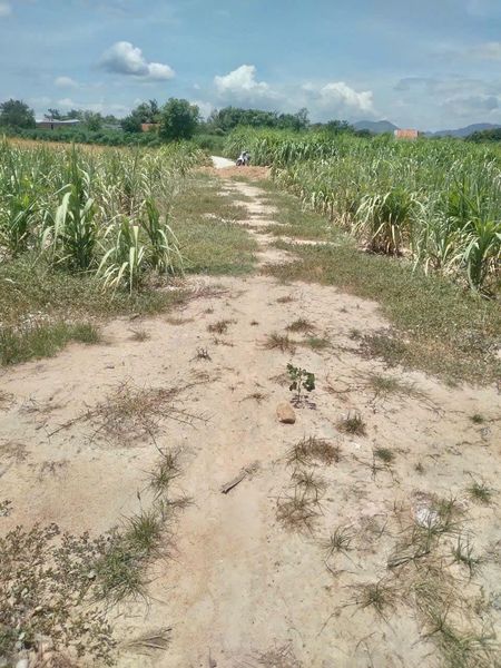 465239552 1252068836115222 2866732022419729623 n.jpg