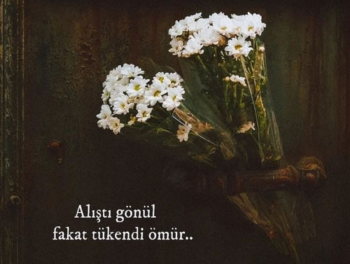 465402907 1101218608674428 3160930966550254307 n.jpg