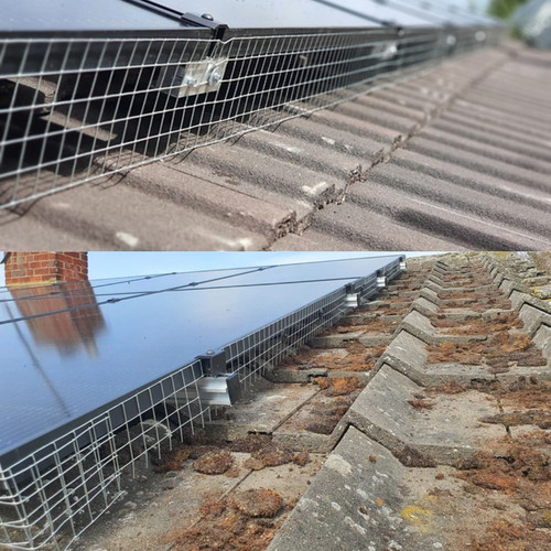 Bird Protection for Solar Panels.jpg