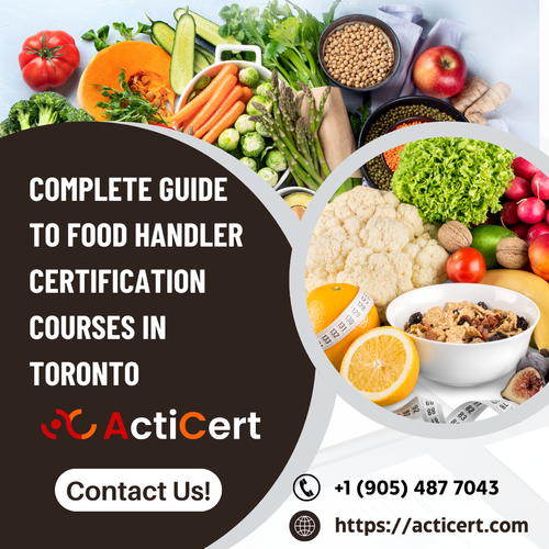 Complete Guide To Food Handler Certification Courses In Toronto.png