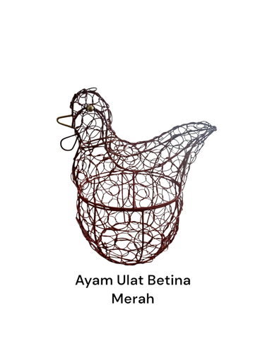 Photoroom 20241024 112030.png