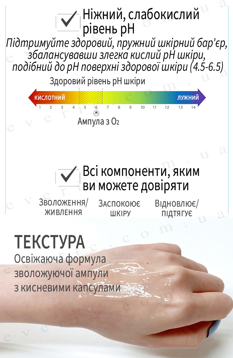 6 копия