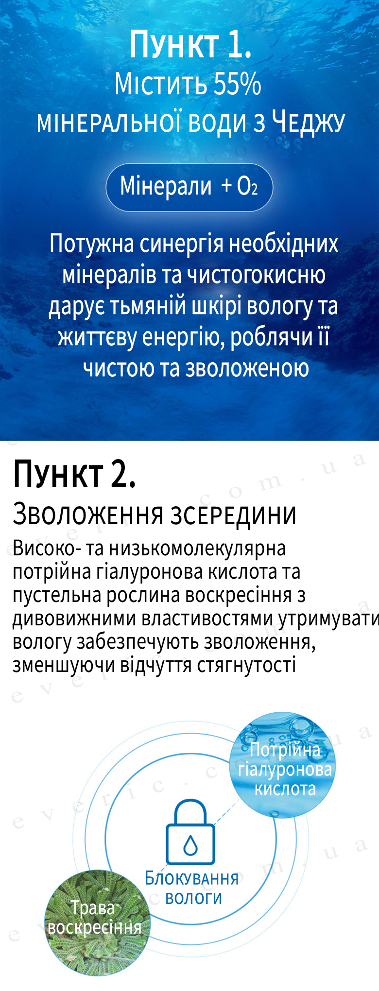 3 копия