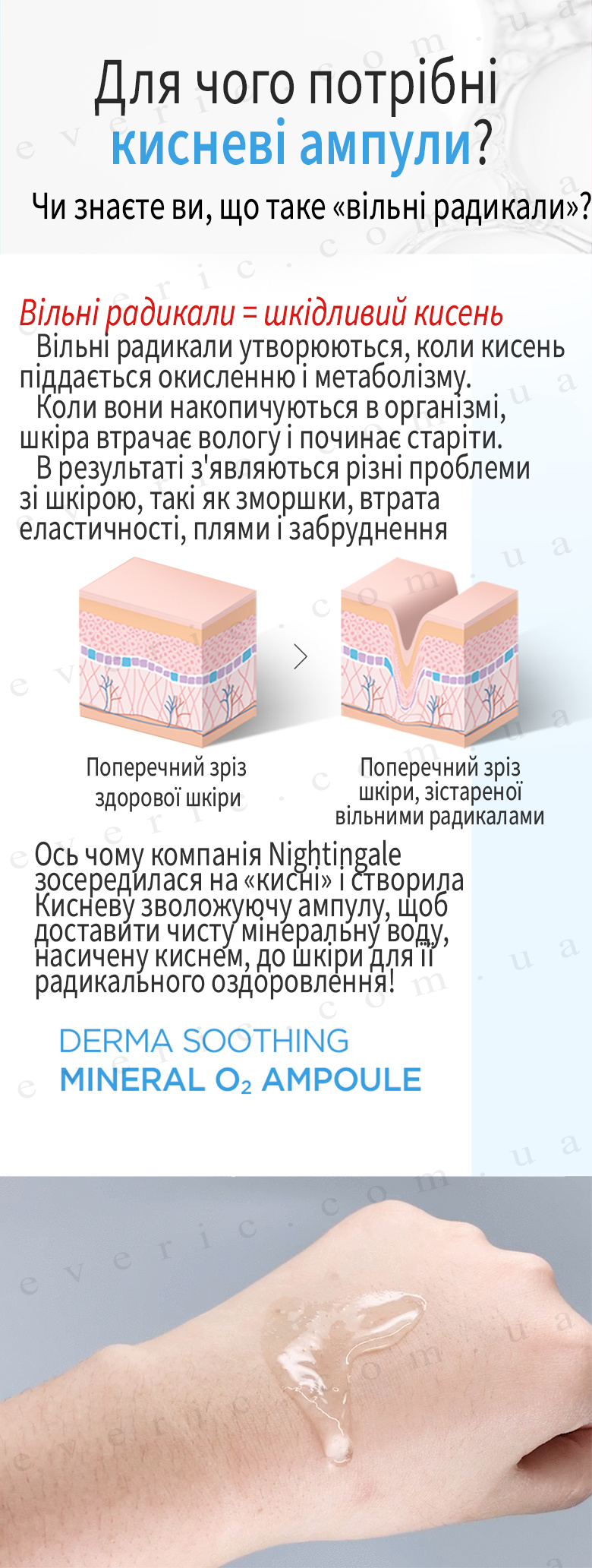 2 копия