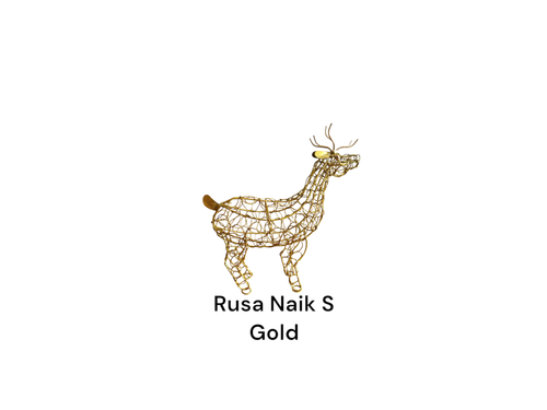 Photoroom 20241024 115119.png