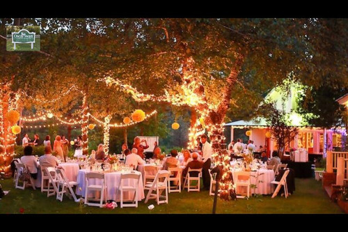 Elegant Weddings Party in Geneva Celebrate at Oscar Swan.jpg