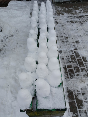 IMG 2025 02 18 11 32 35 187