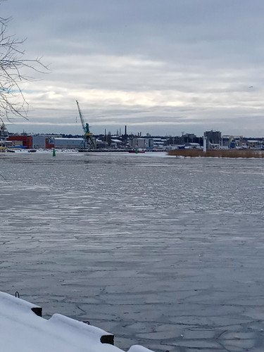 IMG 2025 02 18 11 49 32 919.jpg