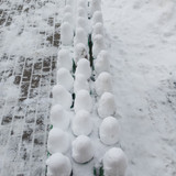 IMG 2025 02 18 11 32 59 318