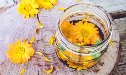 calendula2504.jpg